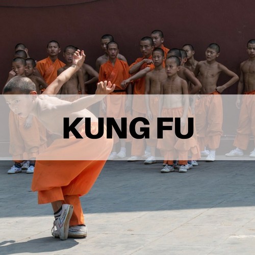 kungfu
