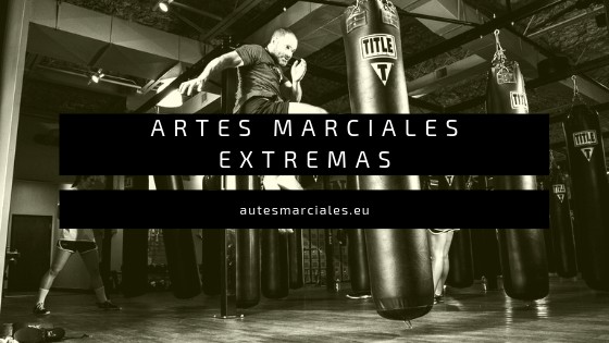 Artes Marciales Extremas